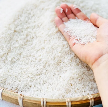 Export Quality Rice - NUTZEST FOODS PRIVATE LIMITED - India